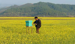 ss-zero-tillage-RM-13-08-2012-2