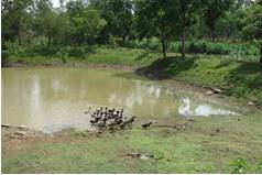 successstory-avian_giri-1