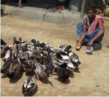 successstory-avian_giri-2