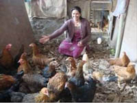 sucess-story-Backyard-Poultry-4