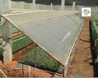 sucess-story-Quality-Seedlings4