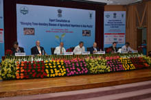 trans-boundries-10-10-2012-2