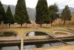 trout-farming-arunachal-pradesh-08-07-2015-1