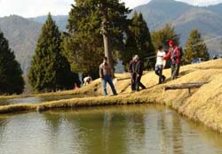 trout-farming-arunachal-pradesh-08-07-2015-2