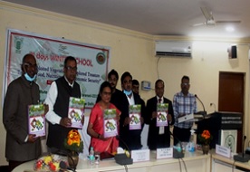 winter-school-training-programme-01