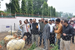 workshop-on-present-status-challenge-02