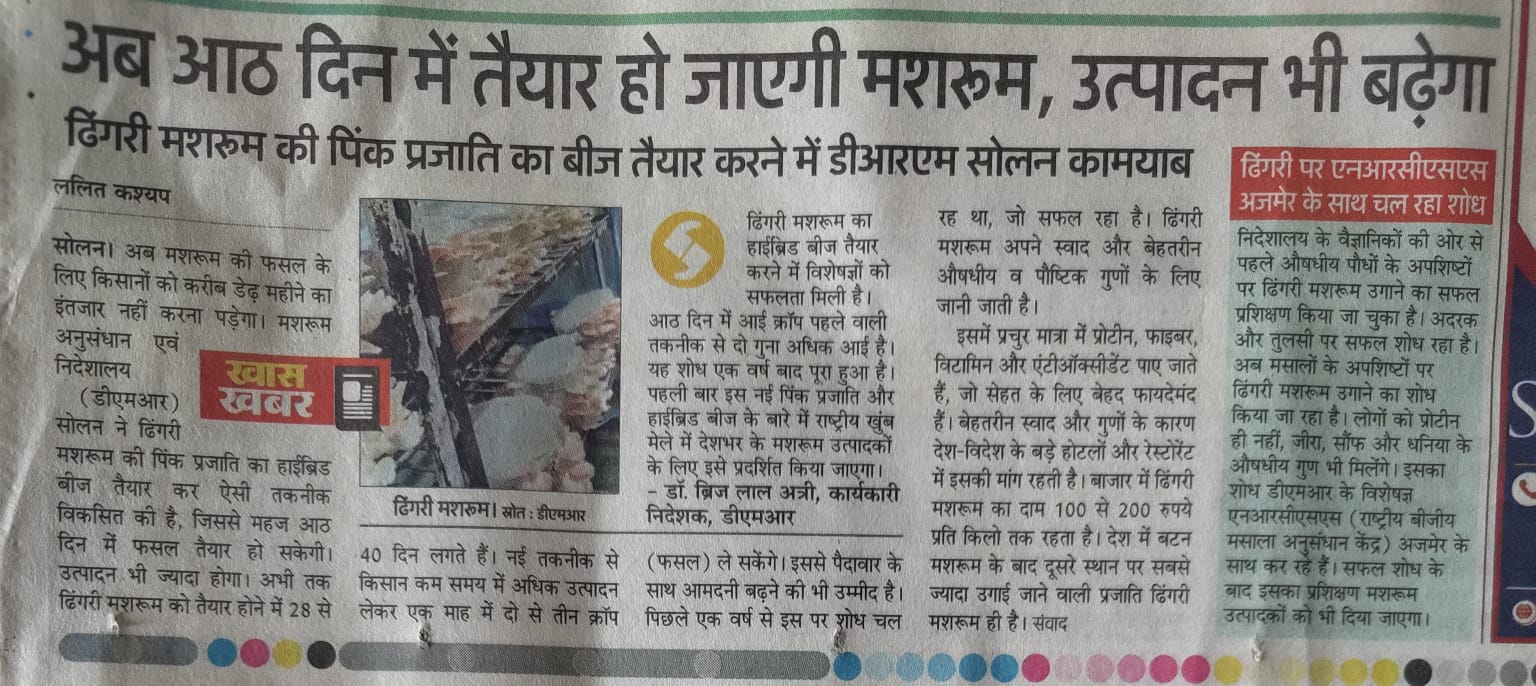 अब आठ दिन में तैयार हो जाएगी मशरूम, उत्पादन भी बढ़ेगा