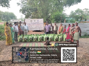 Demonstration and inputs allocation for integration of green manure under OADMP at ICAR-CRIDA, Hyderabad