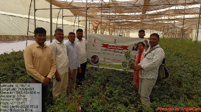 ICAR-DFR, Pune Organises Awareness Program on Biointensive Protected Cultivation of Roses with On-site Demonstration of Good and Sustainable Agricultural Practices