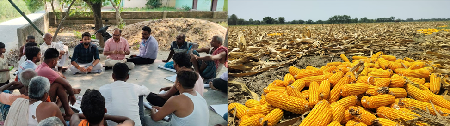 ICAR-MGIFRI, Motihari and KVK Madhopur Lead Soil Health Awareness Drive under Khet Bachao Abhiyan in West Champaran, Bihar