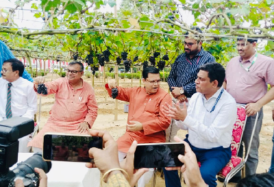 ICAR-NRCG Introduces Commercial Grape Cultivation in Tripura