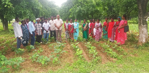 Skill-Oriented Training on ‘Establishment and Management of Multitier Agroforestry Model’ Organised for Tribal Farmers at ICAR-RCER, Patna