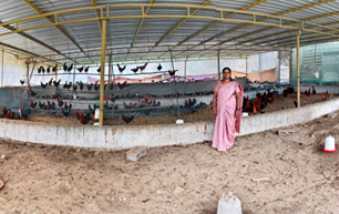 From Subsistence Farming to a Sustainable Enterprise: Mrs. Rajeshwari’s Rural Poultry Success Story in the Andaman Islands